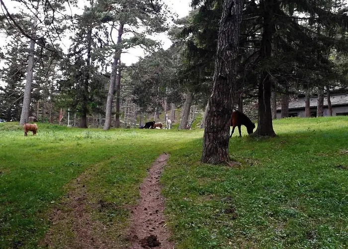 Elfihuus By Interhome * Maienfeld